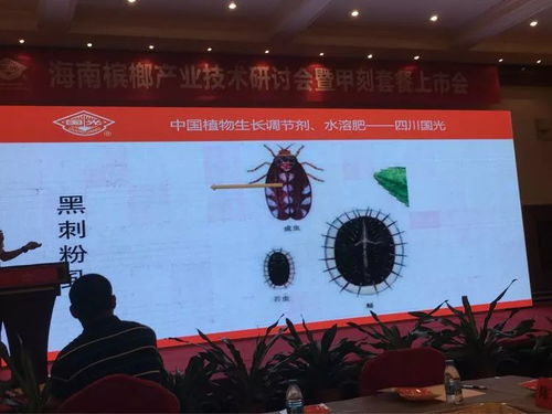 創新驅動，合作共贏 2018檳榔產業技術研討交流會之軟件開發篇